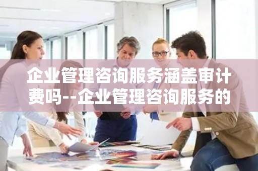 企业管理咨询服务涵盖审计费吗--企业管理咨询服务的全方位解析
