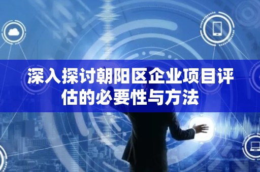 深入探讨朝阳区企业项目评估的必要性与方法