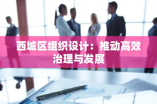 西城区组织设计：推动高效治理与发展