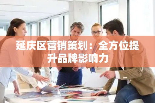 延庆区营销策划：全方位提升品牌影响力