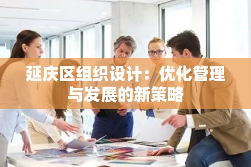 延庆区组织设计：优化管理与发展的新策略