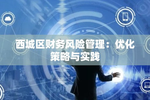 西城区财务风险管理：优化策略与实践