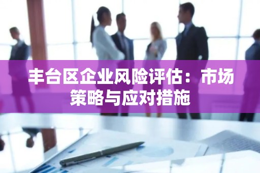 丰台区企业风险评估：市场策略与应对措施