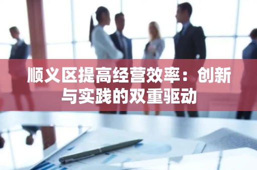 顺义区提高经营效率：创新与实践的双重驱动