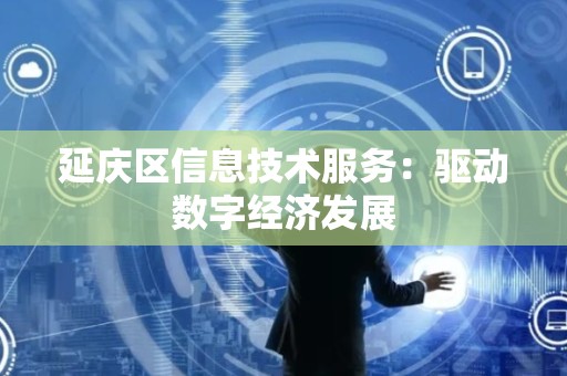延庆区信息技术服务：驱动数字经济发展