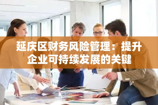 延庆区财务风险管理：提升企业可持续发展的关键