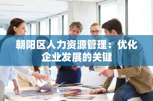 朝阳区人力资源管理：优化企业发展的关键