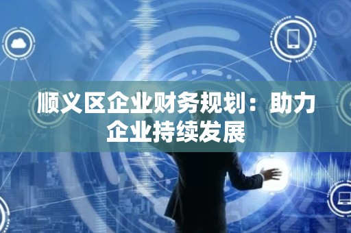 顺义区企业财务规划：助力企业持续发展
